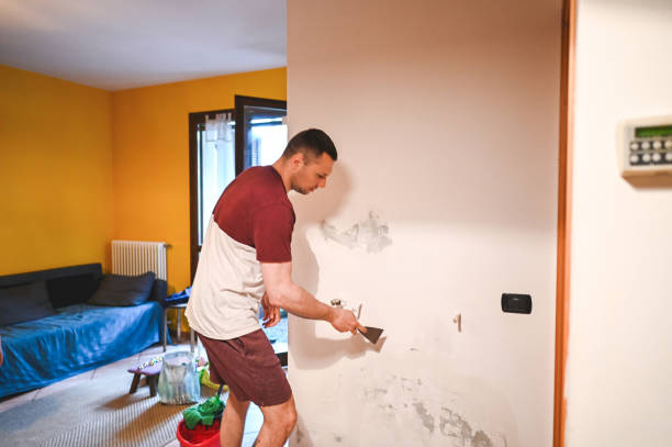 Best Health and Safety Mold Remediation in West Pelzer, SC